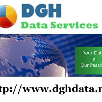 DGH Data & Web Services photo